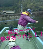 S/1T̎ʐ^Q