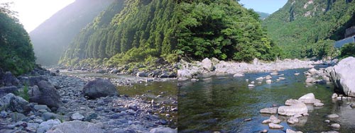 7/14の写真_1