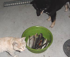 7/14の写真_2