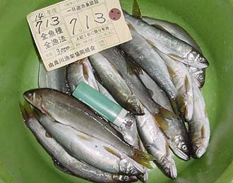 7/13の写真_4