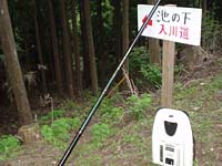 6/19̎ʐ^_2