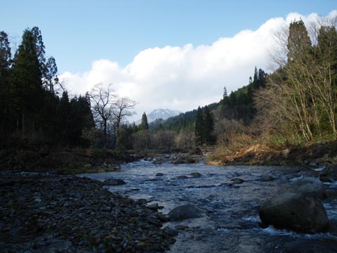 4/27の写真_5