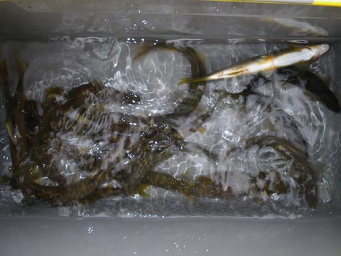 10/4の写真_7